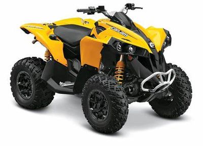 Renegade 800