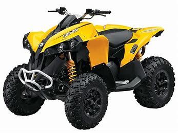 Renegade 1000