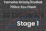 DG CUSTOM ATV YAMAHA GRIZZLY/KODIAK 700 STAGE 1 ECU FLASH