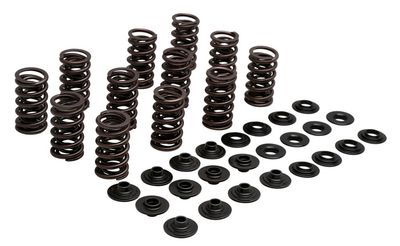 Valve Spring