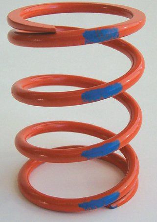 Dalton Primary Clutch Spring - DPPS