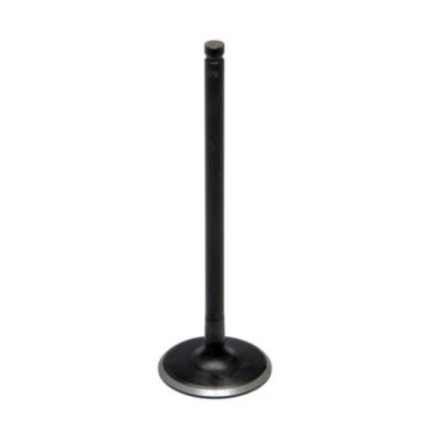 KibbleWhite Intake Valve - Kawasaki Brute Force 750/650