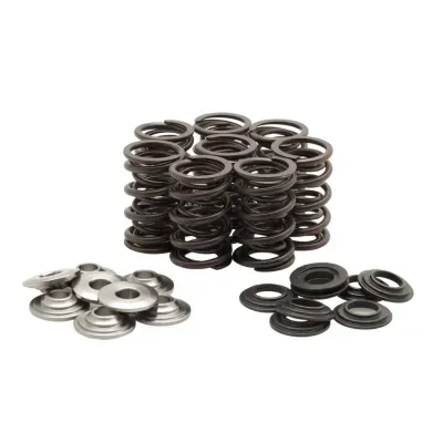 Valve Spring