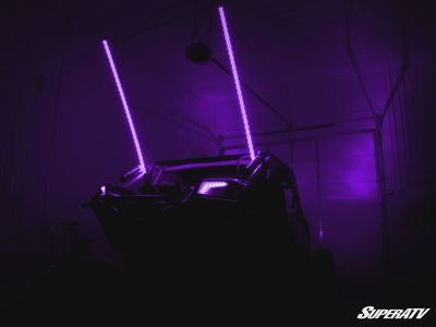 Whip Lights