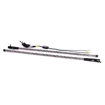 Toxic LED Whip Lights With App &amp; Remote