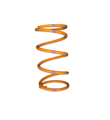 Secondary Clutch Spring