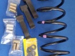 Dalton Clutch Kit - DBM 1000M