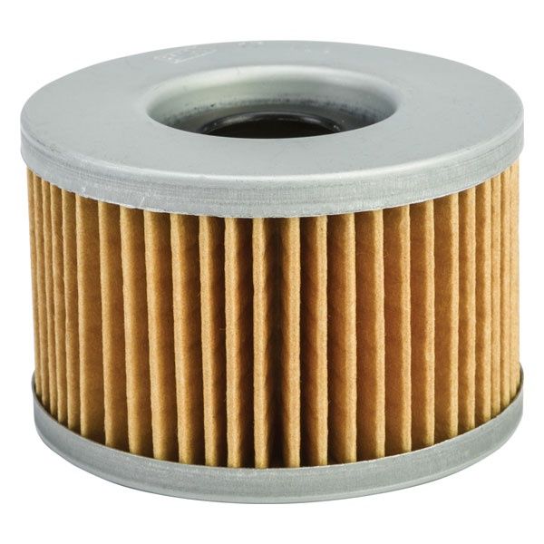 Emgo Oil Filter - 10-30200
