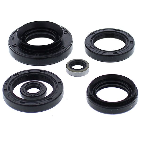 Vertex Engine Oil Seal Kit - 822881