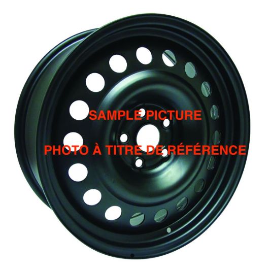DTD Steel Rim (Black)