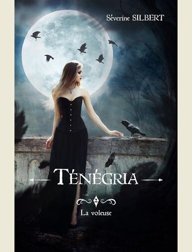 TENEGRIA TOME 2: LA VOLEUSE -
SILBERT SEVERINE