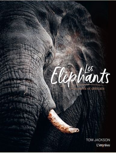 LES ELEPHANTS - PUISSANTS ET DELICATS - JACKSON TOM