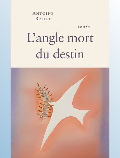 L'ANGLE MORT DU DESTIN - RAULT ANTOINE - SORTIE LE 13/08/2025