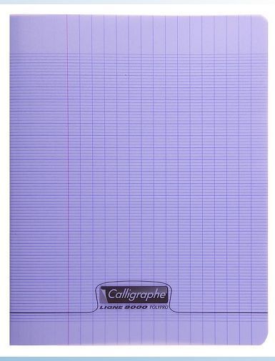 8000 POLYPRO, CAHIER PIQUE 24X32CM 96P SEYES 90G VIOLET GRANDS CARREAUX