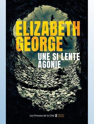 UNE SI LENTE AGONIE - GEORGE ELIZABETH -  SORTIE LE 02/10/2025