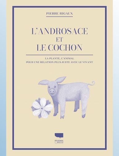 L'ANDROSACE ET LE COCHON - RIGAUX PIERRE