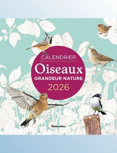 CALENDRIER OISEAUX GRANDEUR NATURE 2026 - LESAFFRE GUILHEM