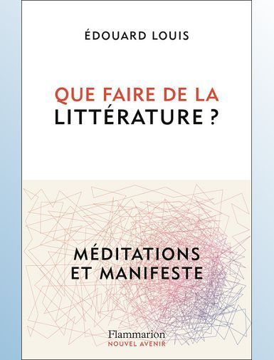 QUE FAIRE DE LA LITTERATURE ? - LOUIS EDOUARD