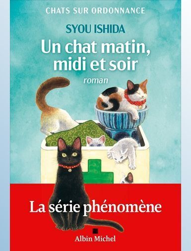 CHATS SUR ORDONNANCE - T02 - UN CHAT MATIN, MIDI ET SOIR - ISHIDA SYOU