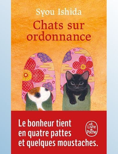 CHATS SUR ORDONNANCE - ISHIDA SYOU