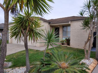 8 Silkwood Road, Woonona