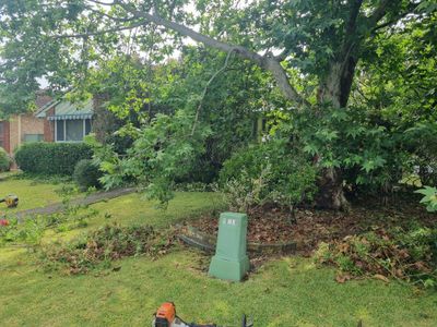 4 Windsor Crescent, Brownsville 4 Windsor Crescent, Brownsville