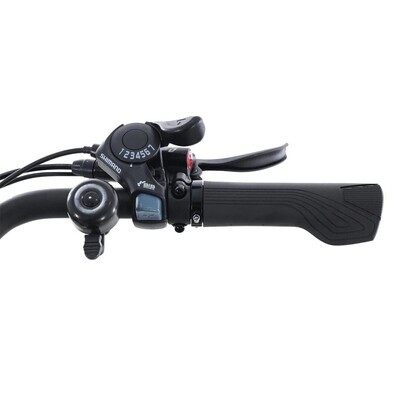DENAGO CITY MODEL 1 TOP-TUBE EBIKE Blue/Black