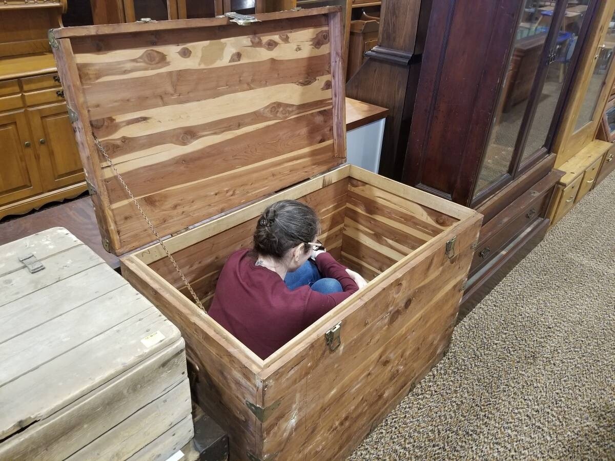 Large Cedar Trunk
