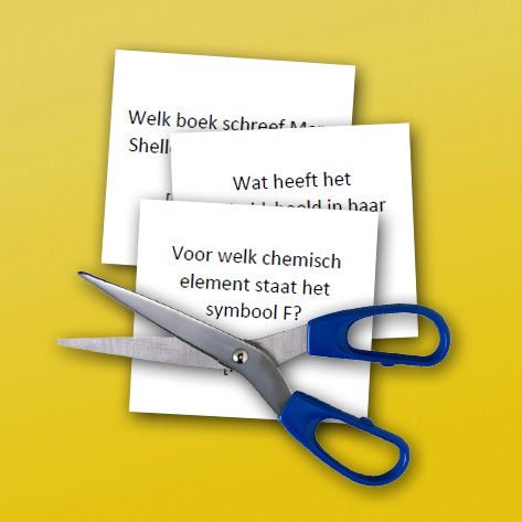 Beginletter-F-Quiz (NL) - View image 3