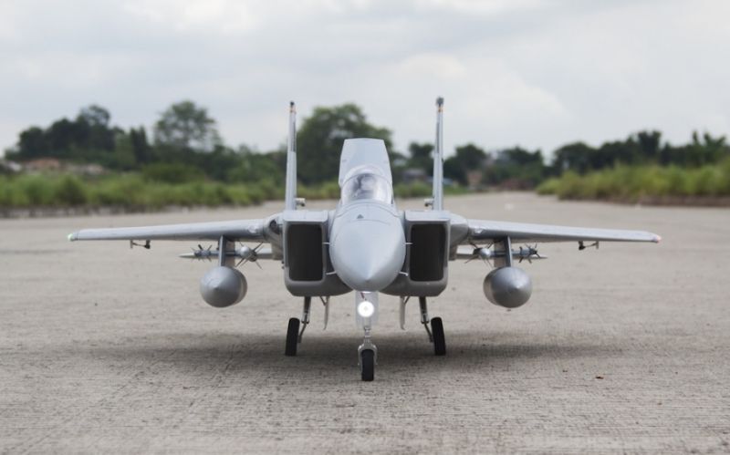 Freewing F-15 Eagle - Power-Version, 90mm EDF, Spw 965mm, PNP