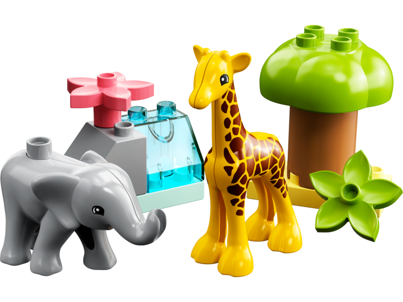 Wild Animals of Africa