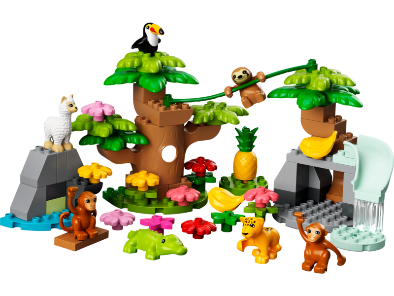 Wild Animals of South America