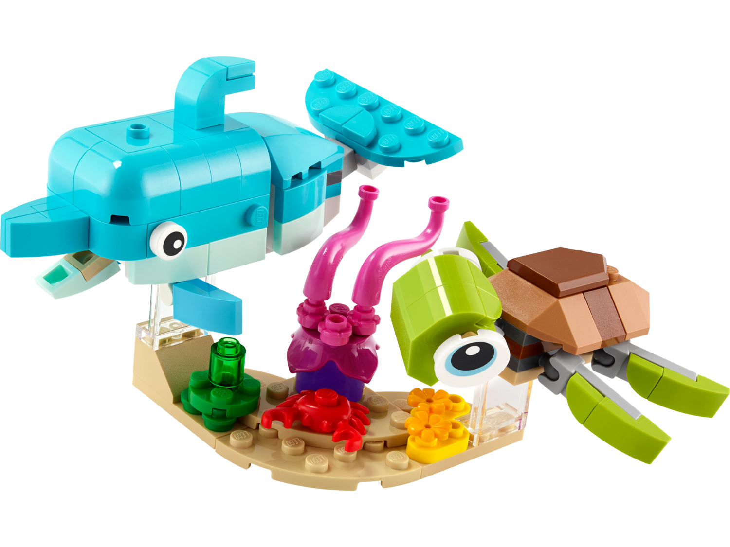 Dolphin and Turtle