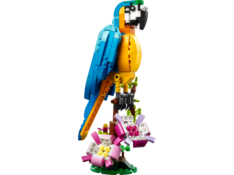 Exotic Parrot