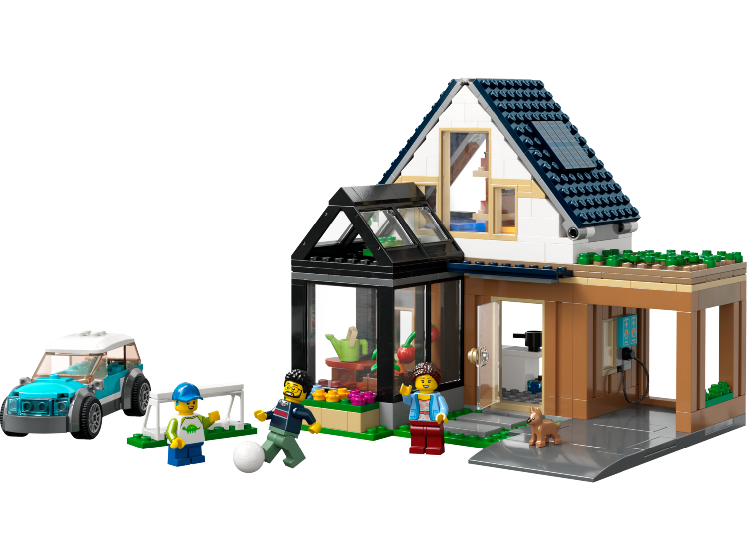 Family House and Electric Car