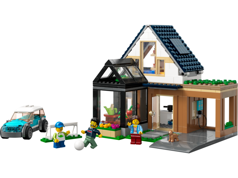 Family House and Electric Car