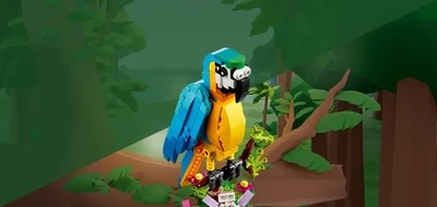 Creator 3-in-1-Sets