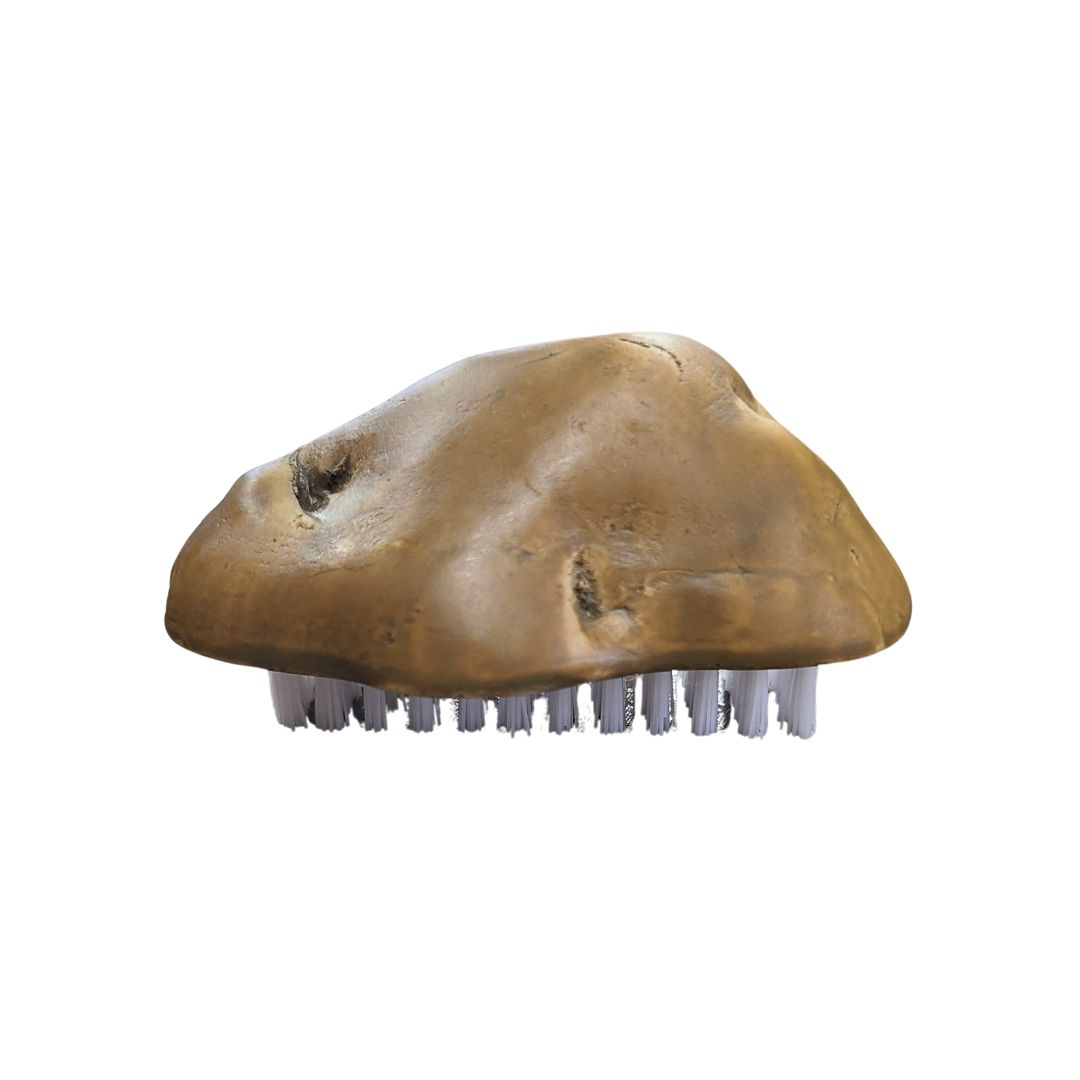 Potato Shaped Brush 