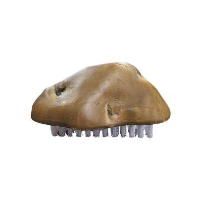 Potato Shaped Brush 