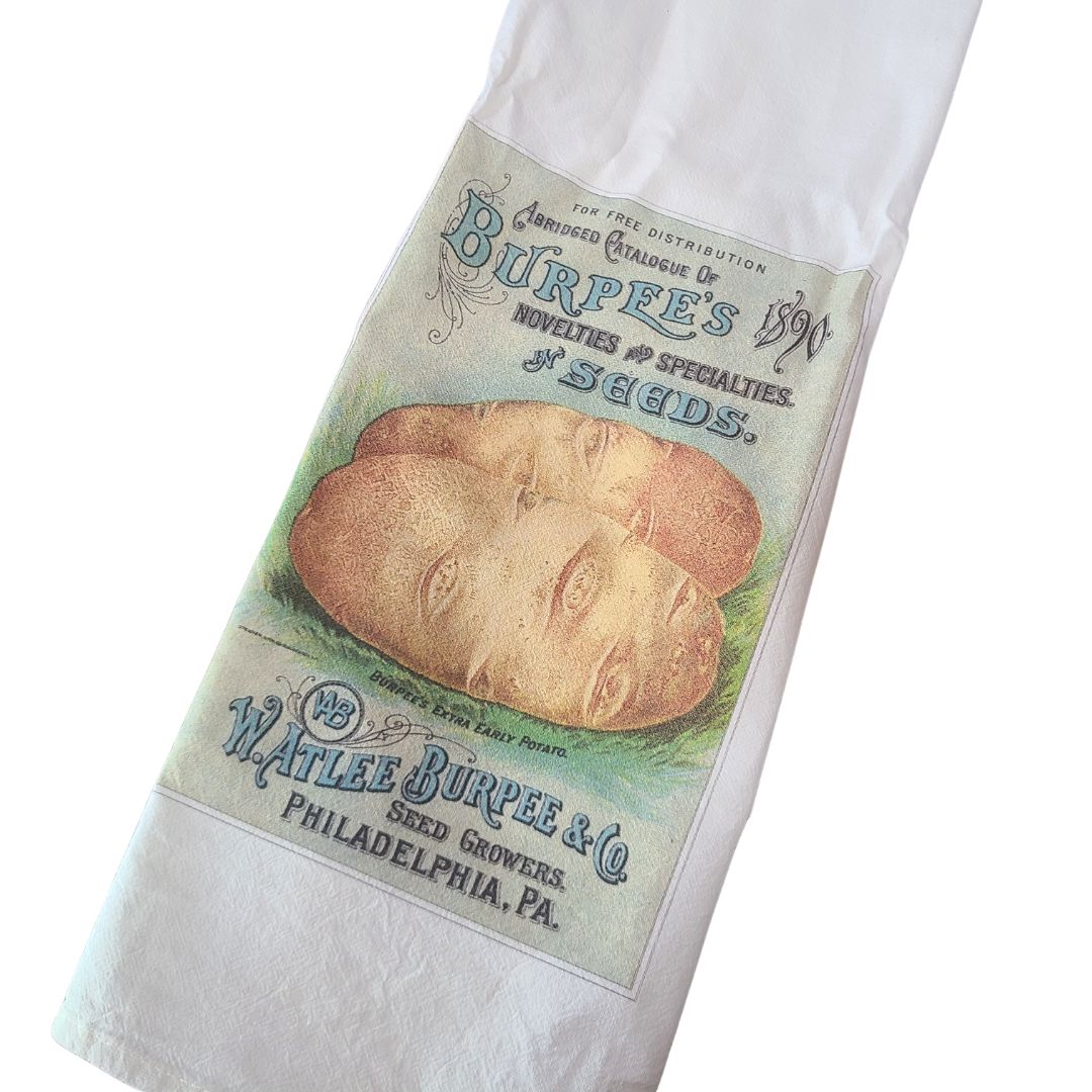 Vintage Towel Green Vintage Towel Green