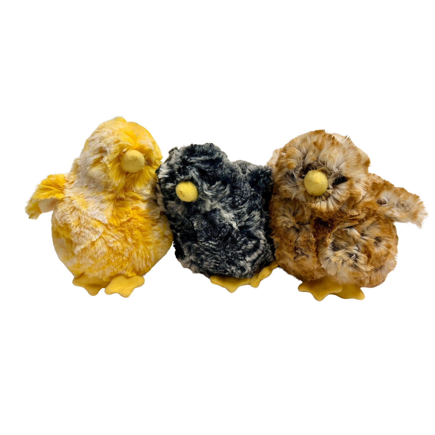 Chick assortment Chick assortment