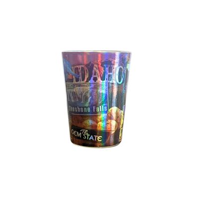 Holographic SG