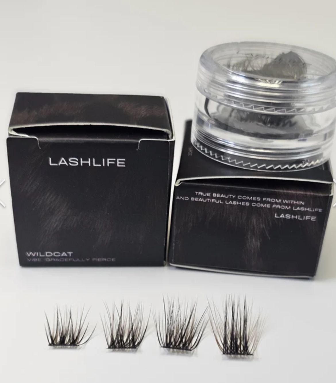 WildCat Lash
