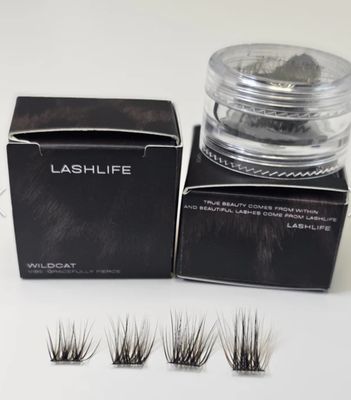 WildCat Lash