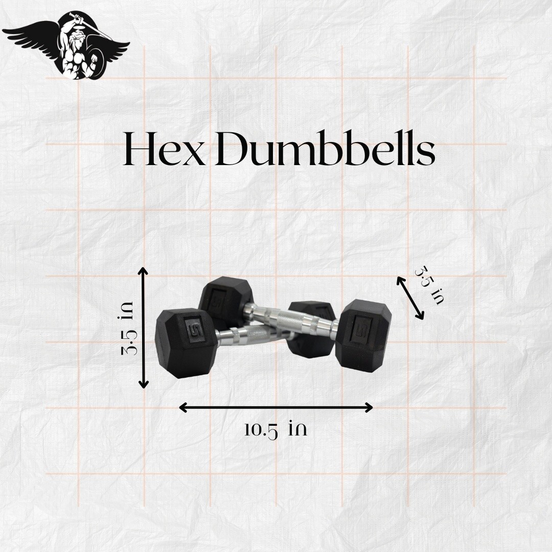 Hex Dumbbells Store Arch Fitness