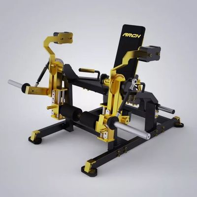 ISO Leg Extension