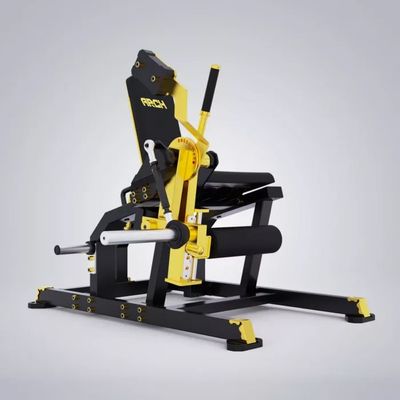 Leg Extension