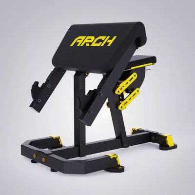 Seated Preacher Curl