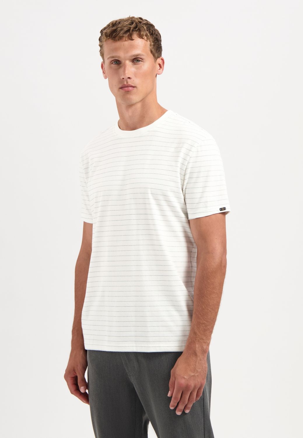 No Excess T-Shirt Crewneck Yarn Dyed Pin Stri