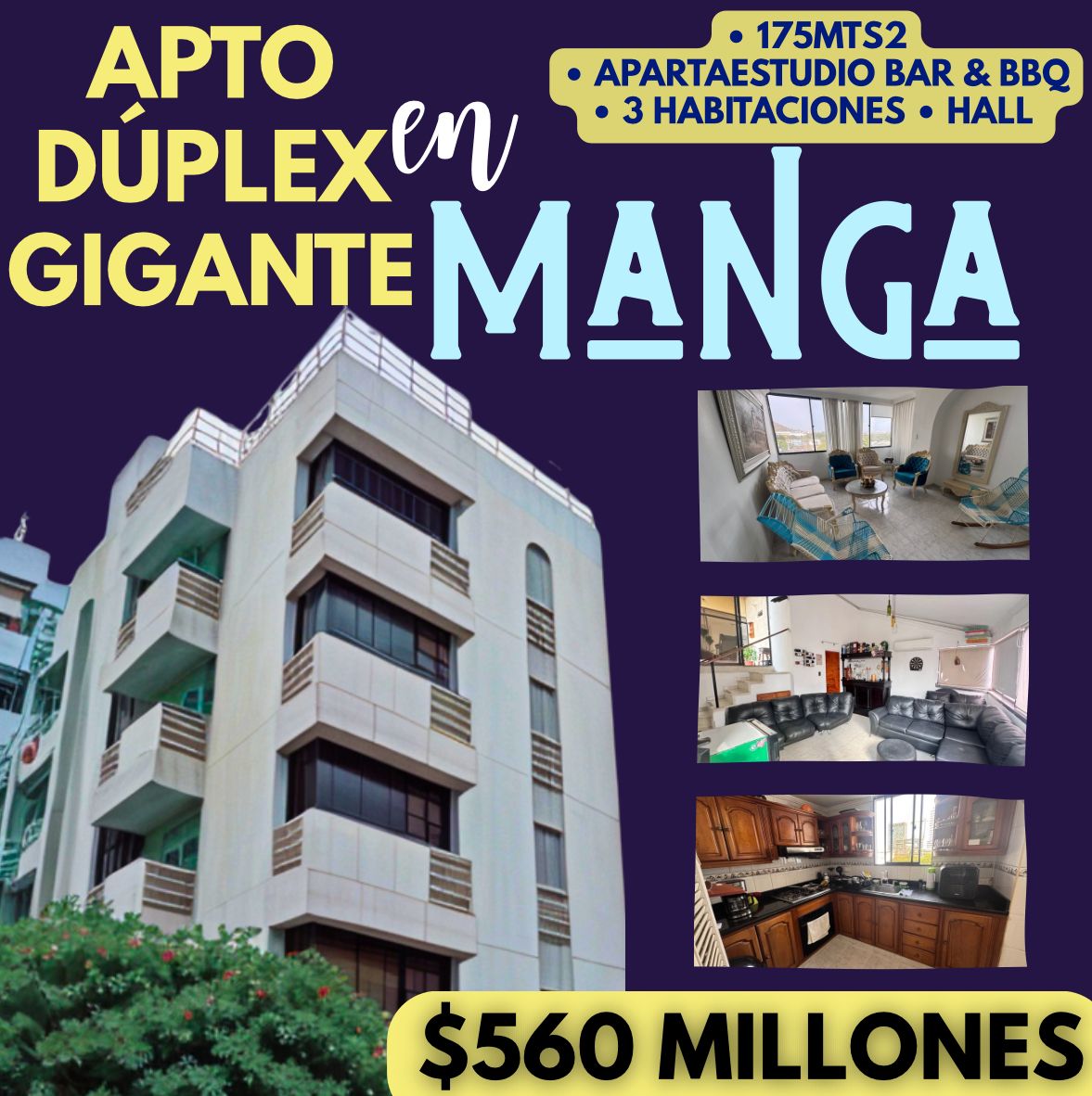 APARTAMENTO DUPLEX GIGANTE EN MANGA